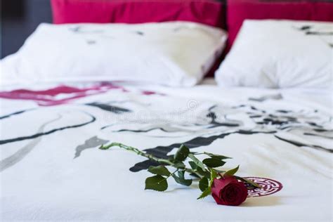 A Red Rose On The Bed In Bedroom Stock Photo Image Of Color Leaf