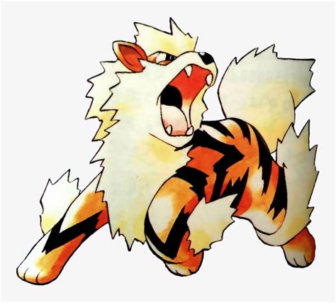 Arcanine Transparent Pokemon Red Whats Your Spirit Pokemon Png Image