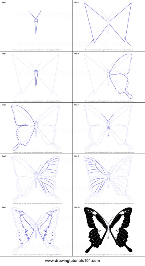 How To Draw A Papilio Butterfly Printable Step By Step Drawing Sheet