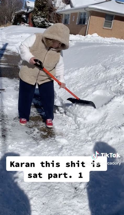 illinois ‘karen calls cops on black men shoveling snow after storm