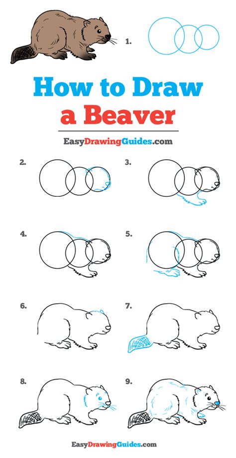 How To Draw A Beaver Really Easy Drawing Tutorial In 2020 Mit