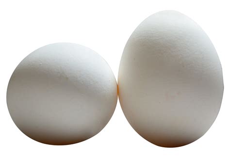 Egg Png Download Png Image Eggpng40797png