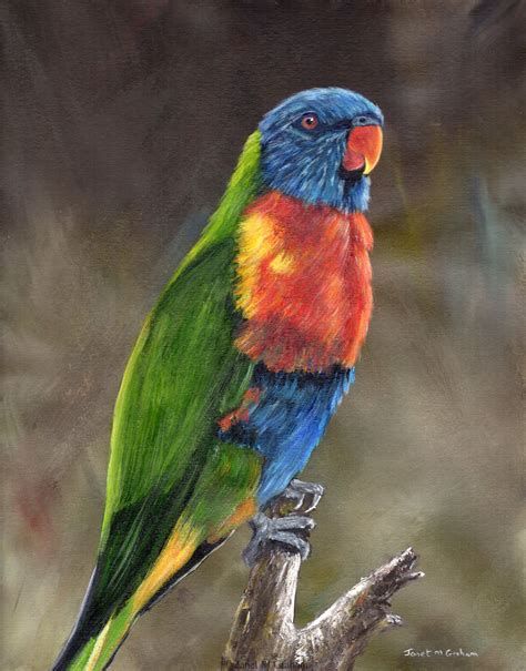 Bird Art Rainbow Lorikeet Australian Bird Painting Original Hand
