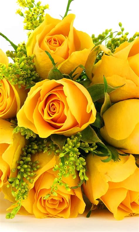 Beibehang wallpaper 3d large mural decor photo backdrop photographic hd yellow roses restaurant modern wall painting for. Yellow Rose Wallpapers HD Pictures - Download HD Flowers ...