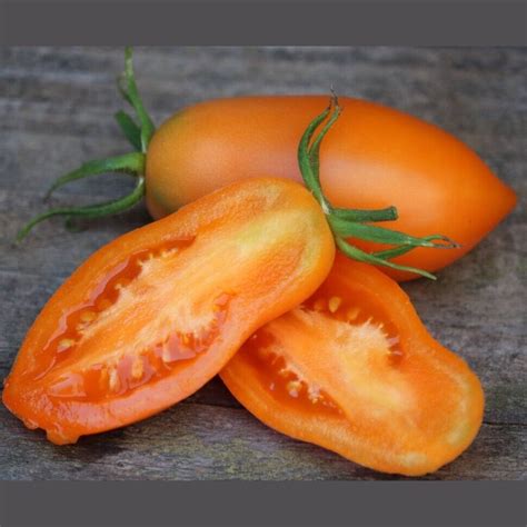 Tomate Orange Banana 10 Samen Russische Sorte Süß Ertragreich