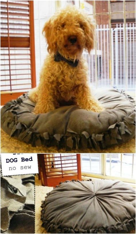 20 Easy Diy Dog Beds And Crates That Let You Pamper Your Pup Diy Dog