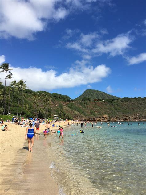 Hanauma Bay Snorkeling In Paradise And Nature Pure During Your