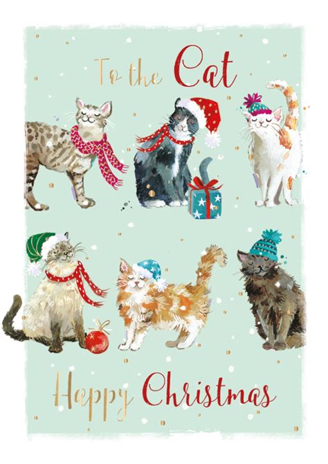 Christmas Card To The Cat Purrfect Christmas Festive Cats Highworth
