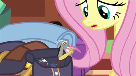 Image Discord Asking To Come With Fluttershy S6e17png