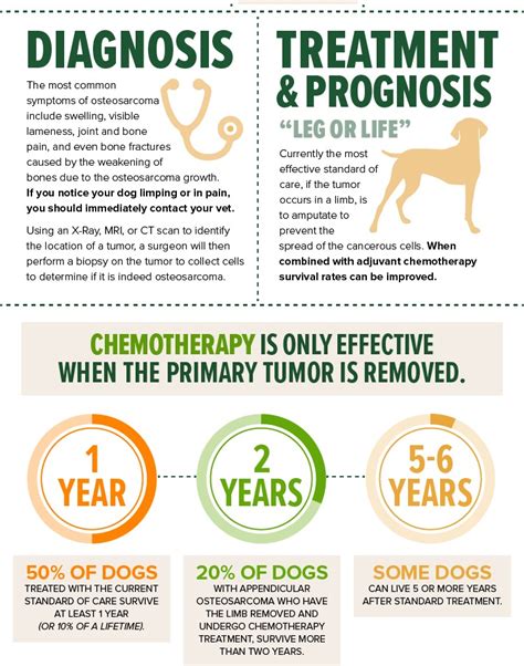 How Aggressive Is Osteosarcoma In Dogs