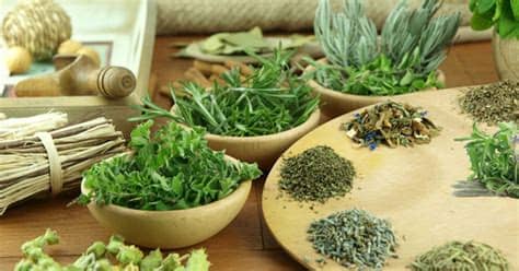 Las hierbas aromáticas son un ingrediente esencial en gran cantidad de platos típicos de la cocina mediterránea. Hierbas aromáticas, conócelas | El Horno de Lucas
