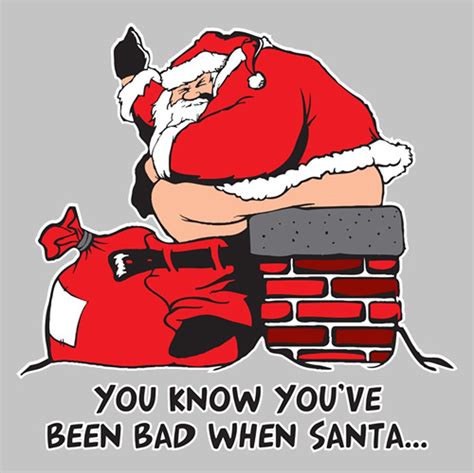 You Know You Have Been Bad When Santa Funny Santa Shirts