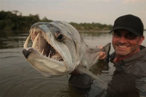 10 Most Scariest Looking Fishes In The World