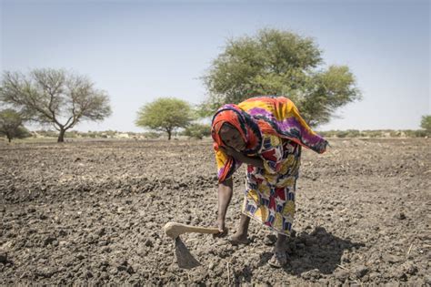 Humanitarian Crisis In The Sahel Conflict Climate Change And Famine