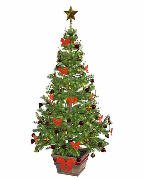 All images and logos are crafted with great. Christmas Tree 3d Model image - Free stock photo - Public ...