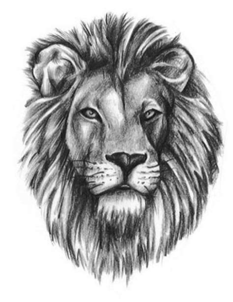 Lion Head Tattoo Outline Realistic Lion Head Tattoo Tribal Lion Tattoo