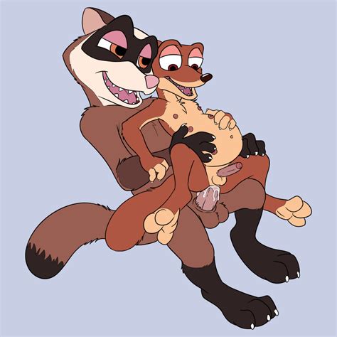 Rule 34 Absurd Res Anal Anal Sex Anthro Balls Black Footed Ferret Cum