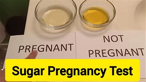 10 Natural And Easy Pregnancy Test At Home For Accurate Results