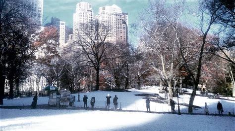 New York City 2019 Central Park Is Snow Covered 4k