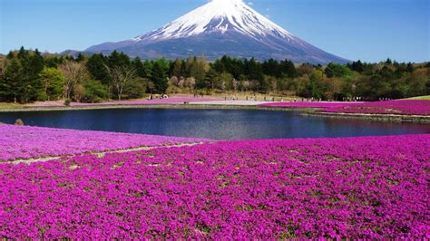68 Mt Fuji Wallpaper On Wallpapersafari