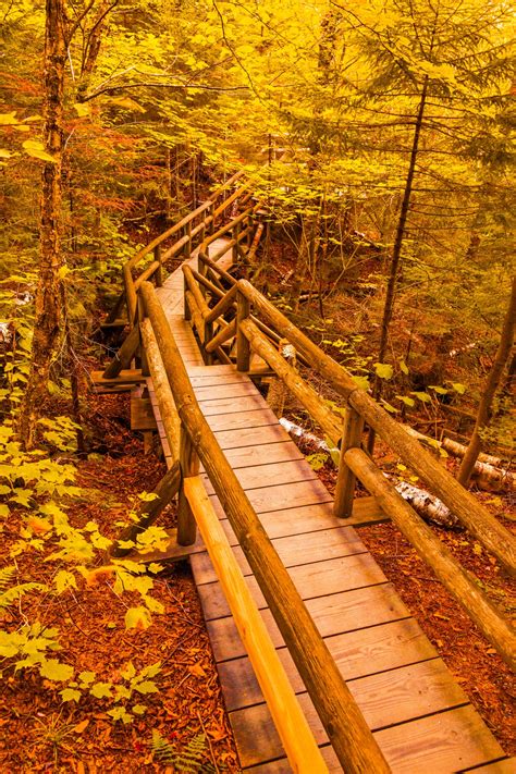 Boardwalk Trail Free Stock Photo Public Domain Pictures