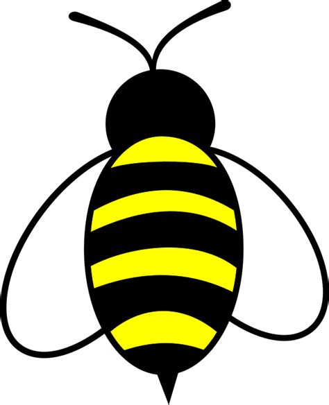 Free Png Honey Bee Transparent Honey Beepng Images Pluspng