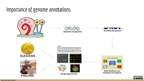 Applied Computational Genomics Genome Annotation Concepts Youtube