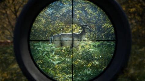 The 10 Best Hunting Games Ever Made Gamers Decide