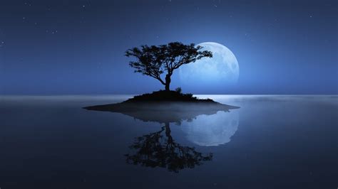 Desktop Wallpaper Moon Night Tree Reflections Art Hd Image