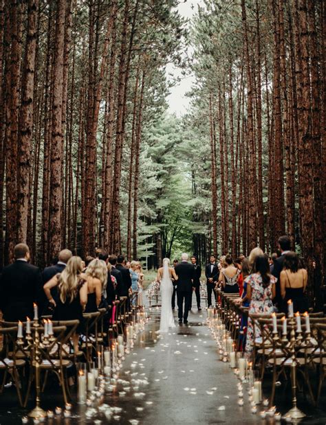These Two Got Married On A Private Tree Lined Road In The Middle Of The