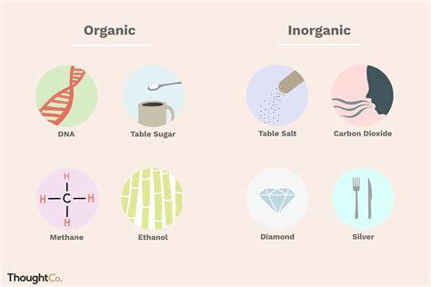 Understand the Difference Between Organic and Inorganic