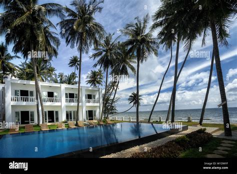 Beautiful Tropical Swimming Pool In Hotel Or Resort Coconuts Tree Sun