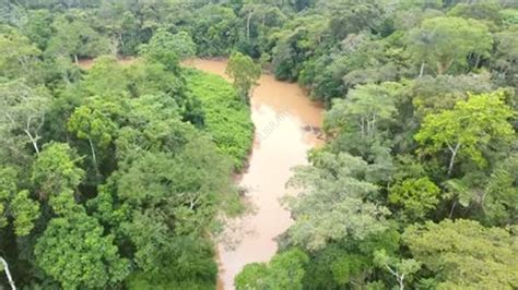Tropical Rainforest Aerial Stock Video Clip K0069542 Science