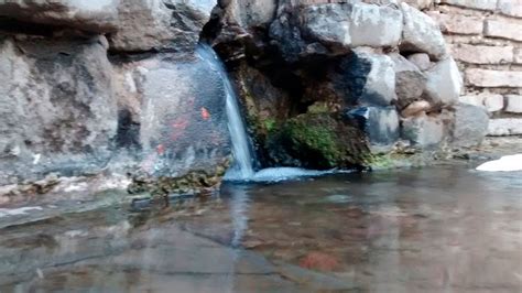 La Historia Del Manantial De Agua Cristalina Escondido En La Zona Oeste Del Conurbano Infobae