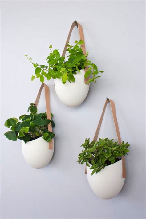 Check spelling or type a new query. » Ceramic Wall Planters by Light + Ladder