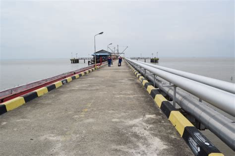 We did not find results for: Assessment & Testing Struktur Jetty Pertamina sungai ...