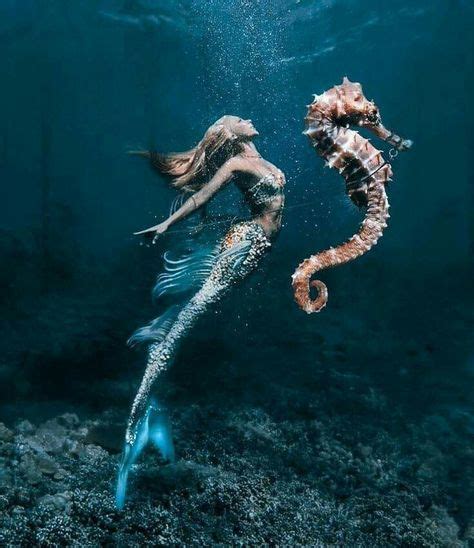 Die 21 Besten Bilder Zu Mermaid In 2020 Meerjungfrau Meerjungfrau