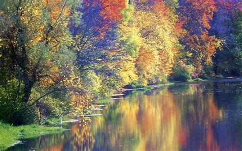 Free Photo River Autumn Reflections Autumn Sunny