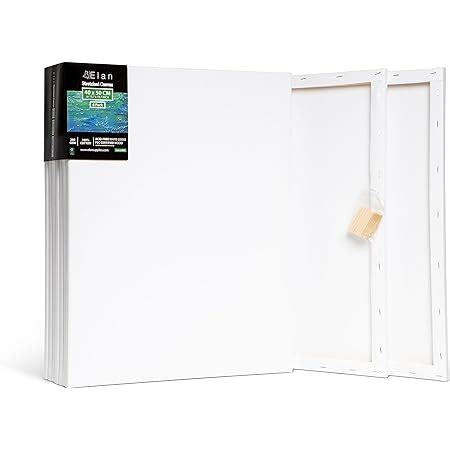 Amazon Com Elan Stretched Canvases 16x20 6 Pack Canvases For Painting