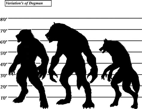 North America Dogman Projects Variations Of Dogman Cryptozoology