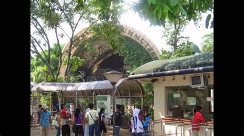 Kebun Binatang Ragunan Jakarta Tempat Wisata Di Indonesia Youtube