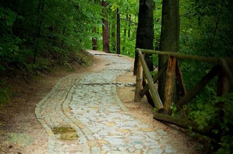 Premium Photo Stone Path In The Forest Dense Forest With Path
