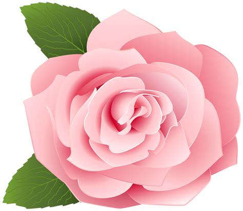 Maybe you would like to learn more about one of these? Menakjubkan 19+ Bunga Mawar Pink Png - Gambar Bunga HD