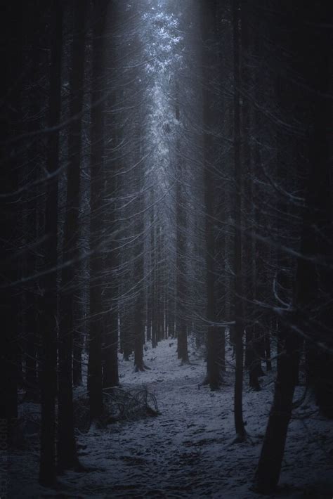 Rudolfvlcek Winter Forest Dark Forest Aesthetic Snow Forest
