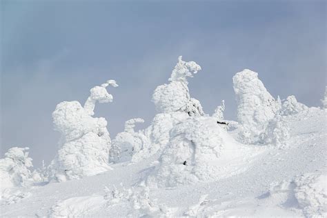 Best Time To See Zao Snow Monsters In Japan 2024 When To See Roveme