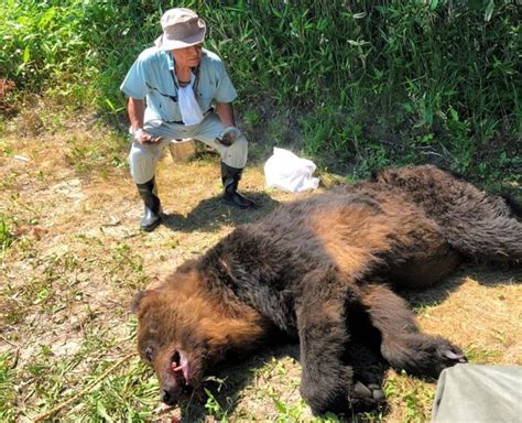 Hunter Passes Down Lessons From Horrific Bear Attack The Asahi