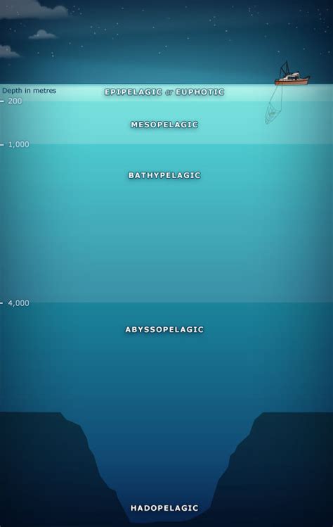 Under The Sea Ocean Zones