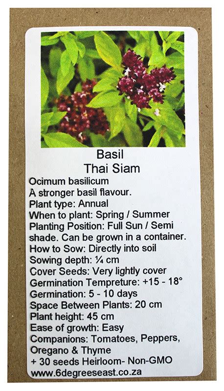 Buy 6 Degrees East Heirloom Herb Seeds Basil Thai Siam Online