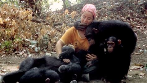 Lucy The Human Chimp Heartbreaking Ending Of Monkey Raised As Human