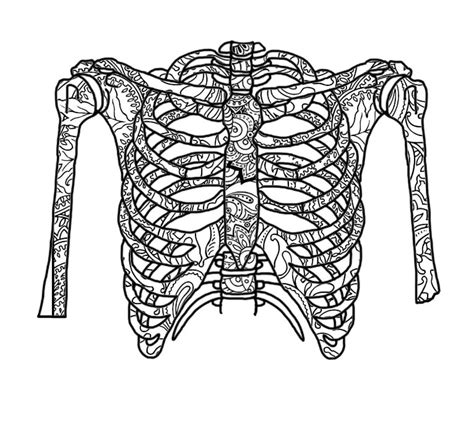 Rib Cage Template Tumblr Coloring Sketch Coloring Page Sexiz Pix